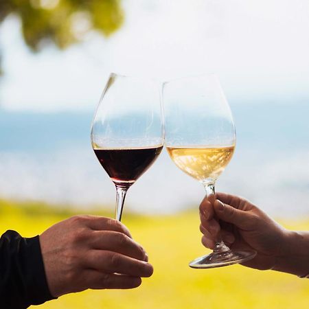Altos De La Vina, Wine Hotel & Spa San Salvador de Jujuy Zewnętrze zdjęcie