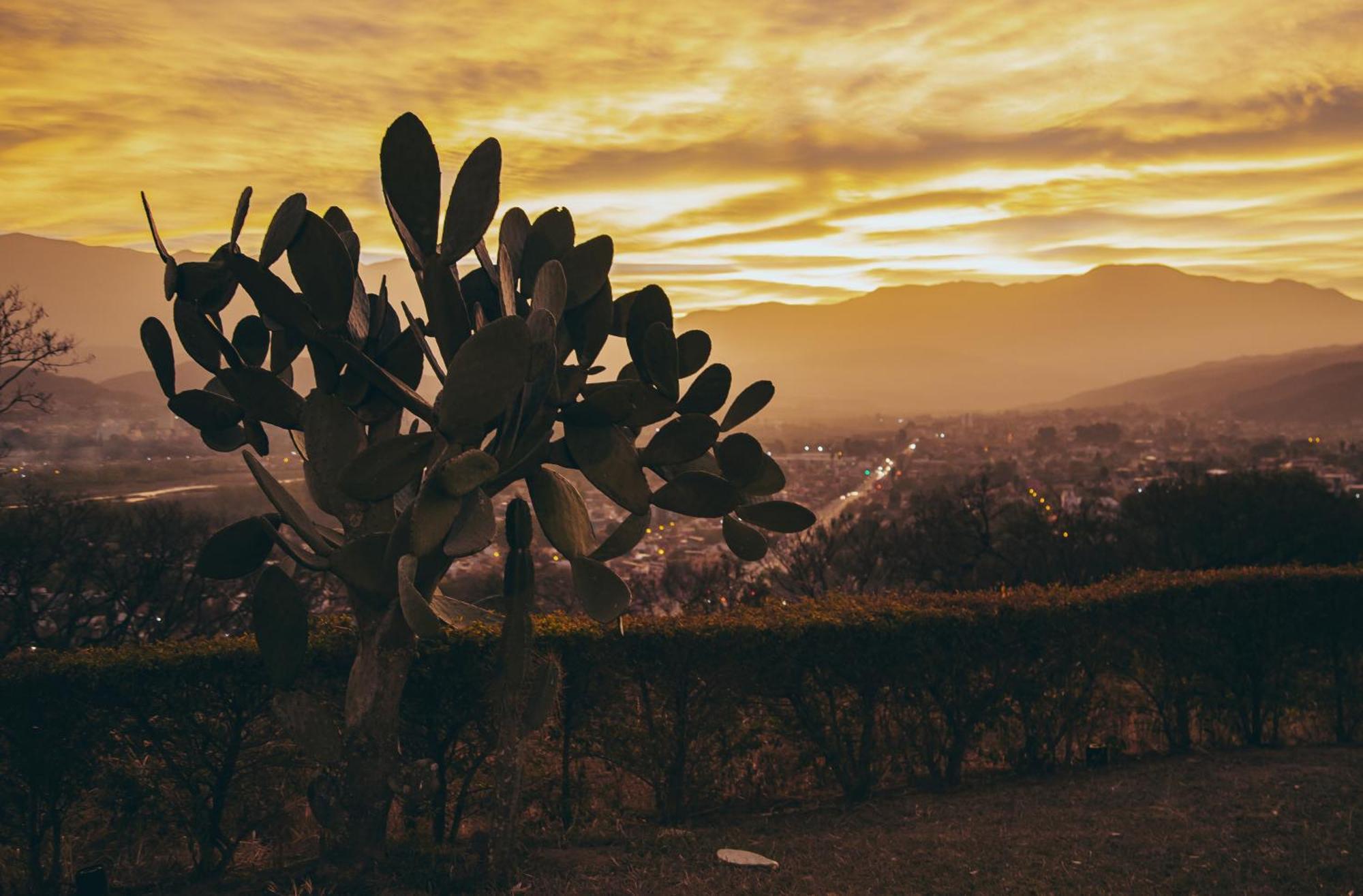 Altos De La Vina, Wine Hotel & Spa San Salvador de Jujuy Zewnętrze zdjęcie
