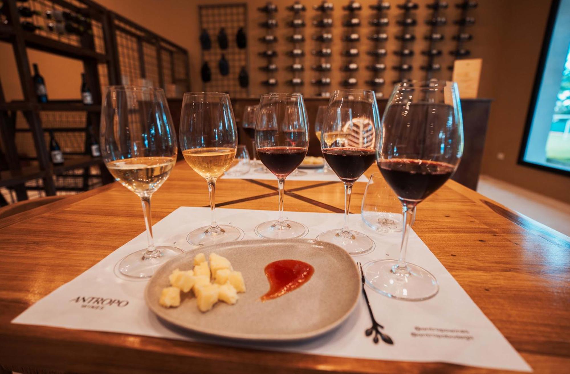Altos De La Vina, Wine Hotel & Spa San Salvador de Jujuy Zewnętrze zdjęcie